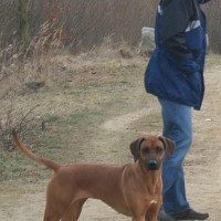 Ashima mit Wolfgang
