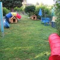 Garten, ohne Sondereinsatzkommando....