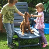 Chimara mit ihren neuen Spielkameraden