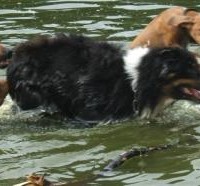 Wasser ist schön