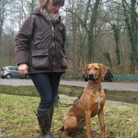 Chuna aus Würselen