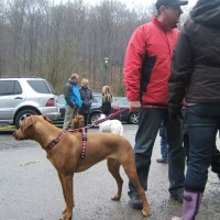 Chalissa aus Stolberg