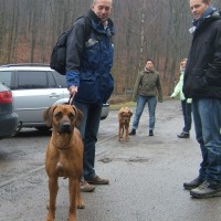 Nala aus Bonn und Ashura aus Siegen