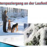 Laufenburg 3