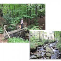 Wildbach