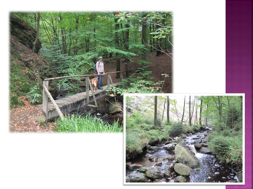 Wildbach