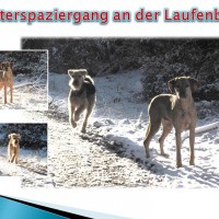 Laufenburg 3