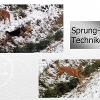Sprungtechniken