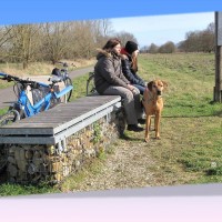 Folie6