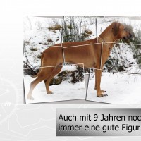 Gute Figur