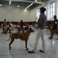 Kimba´s Enkel Gandhi übt schon mal