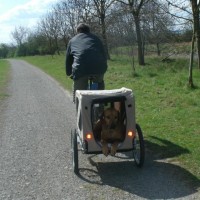 bequem reisen
