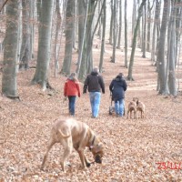 wunderschöne Farben