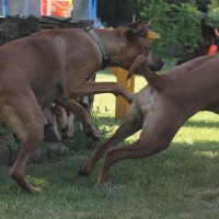 IMG_0673