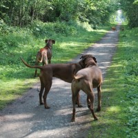 IMG_0676
