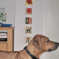 Che mit Leas Bilder