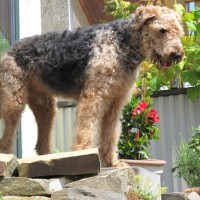 ...schon ein schöner Kerl