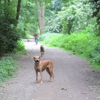 IMG_5344