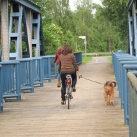 Hund lernt Fahrradfahren