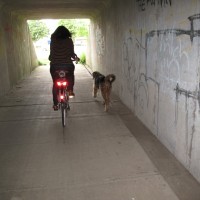 IMG_5367