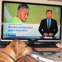 Fußball ist nicht alles, wann gibts Fressen?
