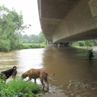 Hochwasser in der Rur