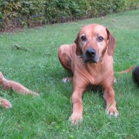 Gruppenbild mit Dame