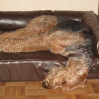 Genickstarre vorprogrammiert