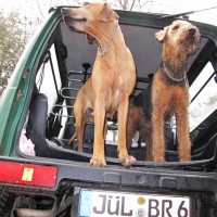 den Männern war es egal...