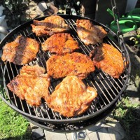 Schwenker aus dem Saarland