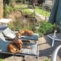 standesgemäße Liegen