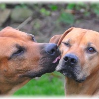 ...es gefällt ihr schon...