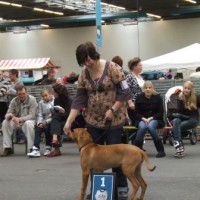 Show DE Utrecht Sedi